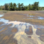 Arsenic legacy in lake-bottom sediments from historic N.S. mine worries researcher