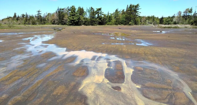 Arsenic legacy in lake-bottom sediments from historic N.S. mine worries researcher