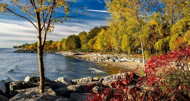 Water at Ontario, Canada, Waterloo Region Public Schools Discover High Lead Levels