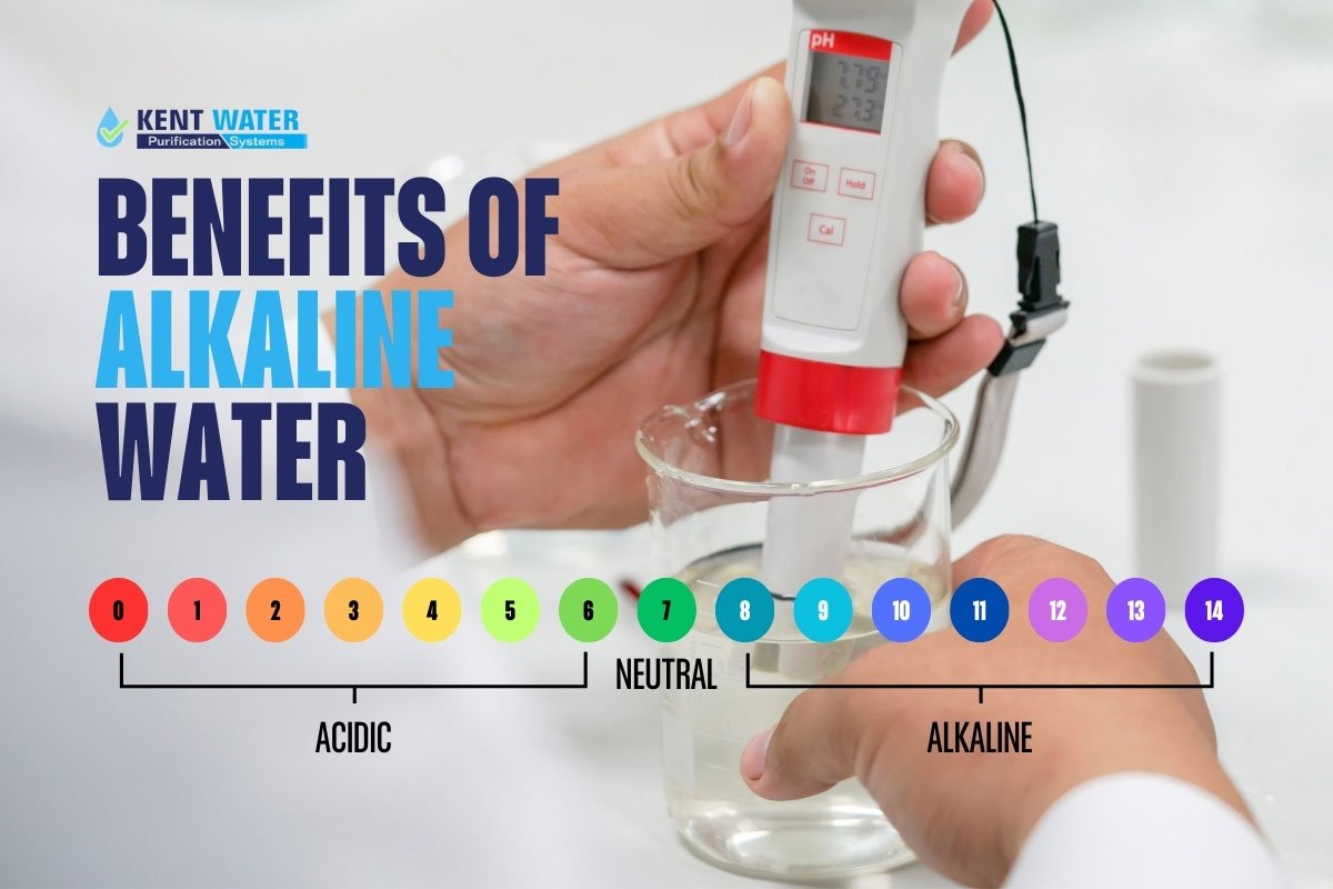 Discover The Benefits Of Alkaline Water Discover The Benefits Of Alkaline Water